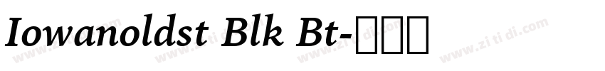 Iowanoldst Blk Bt字体转换